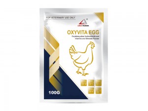 Oxytetracycline Hydrochloride and Vitamins and Minerals Powder
