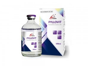 Pentoxifylline Injection 10%
