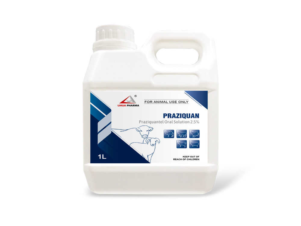 Praziquantel Oral Solution 2.5