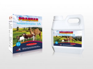Praziquantel Oral Solution 2.5%