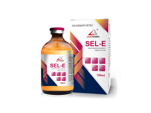 Sodium Selenite and Vitamin E Injection 0.1%+5%