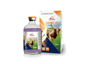 Copper VB12