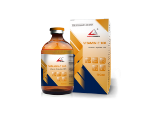 Vitamin C Injection 10%