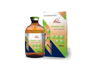 Vitamin C Injection 20%