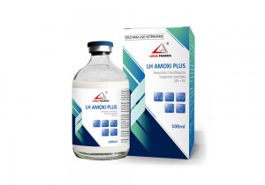 Amoxicillin and Enrofloxacin Injectable Suspension 10%+5%