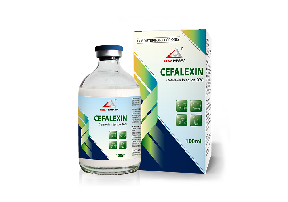 cefalexin