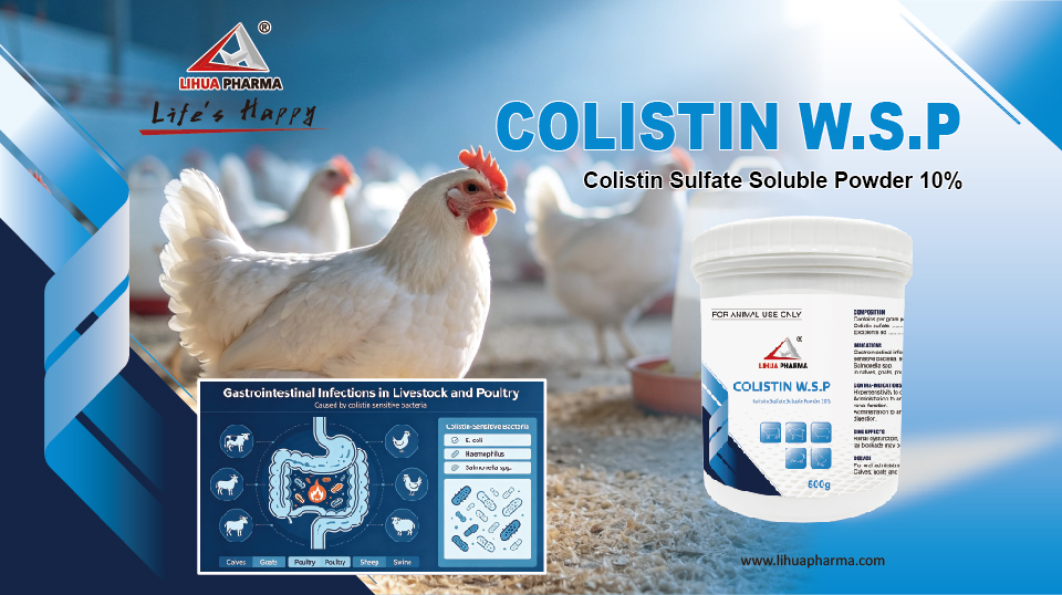 Colistin Sulfate Pharmacology & Practical Clinical Formulation Guide for Veterinarians