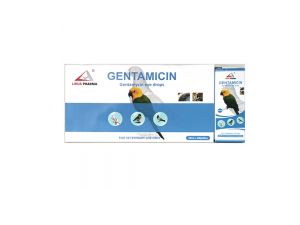 Gentamycin Eye Drops