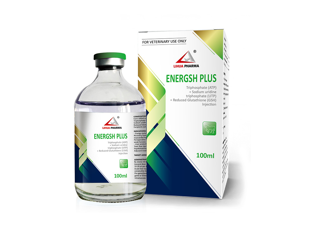 energsh plus