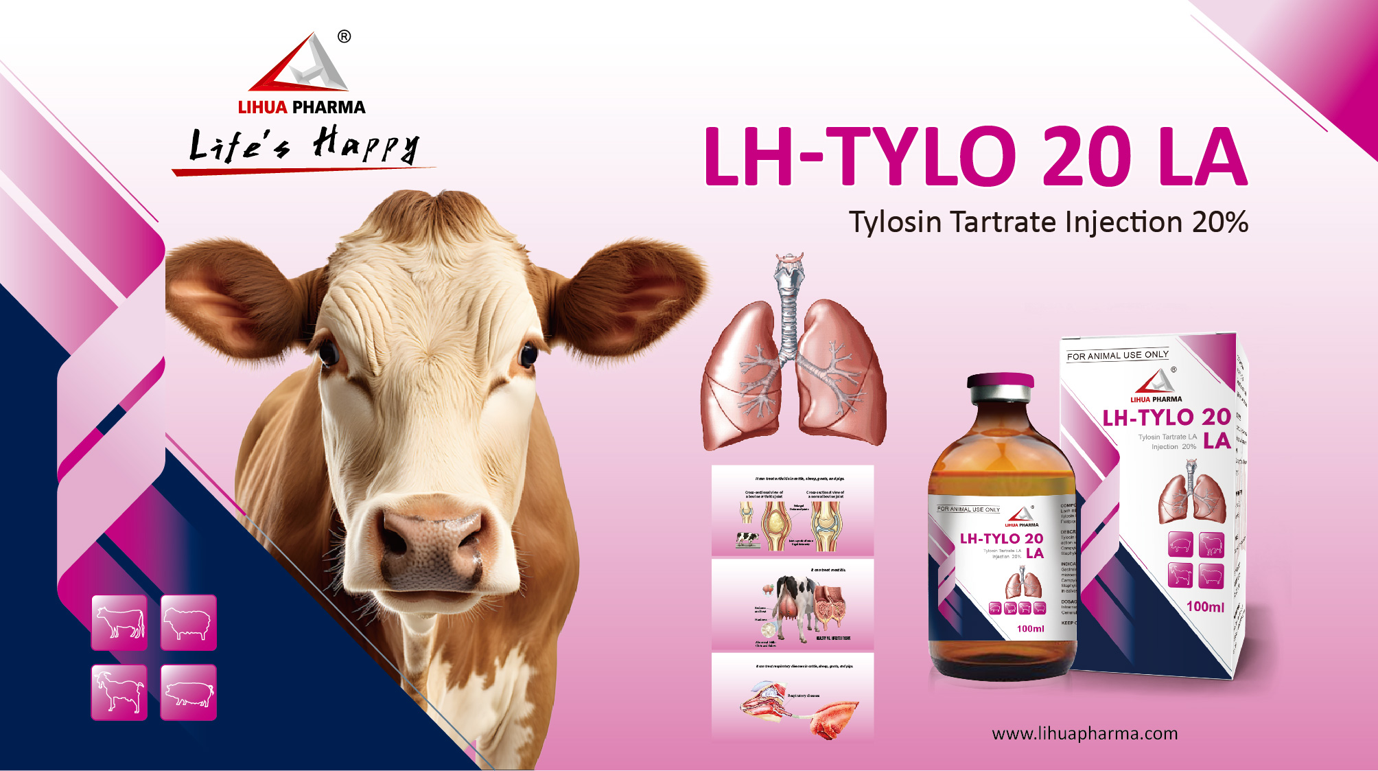 Tylosin Tartrate Injection 20%