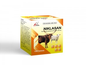 Niclosamide Bolus 1250 mg