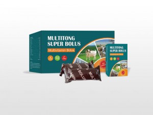 Wholesale Price China Fenbendazole And Ivermectin Bolus Uses - Multivitamin Bolus – Lihua