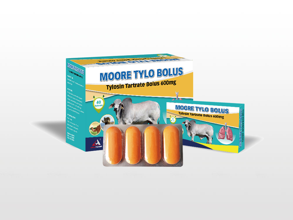2018 wholesale price Albendazole Bolus For Cattle - Tylosin Tartrate Bolus 600mg – Lihua
