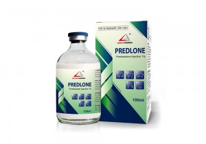 Prednisolone Injection 1%
