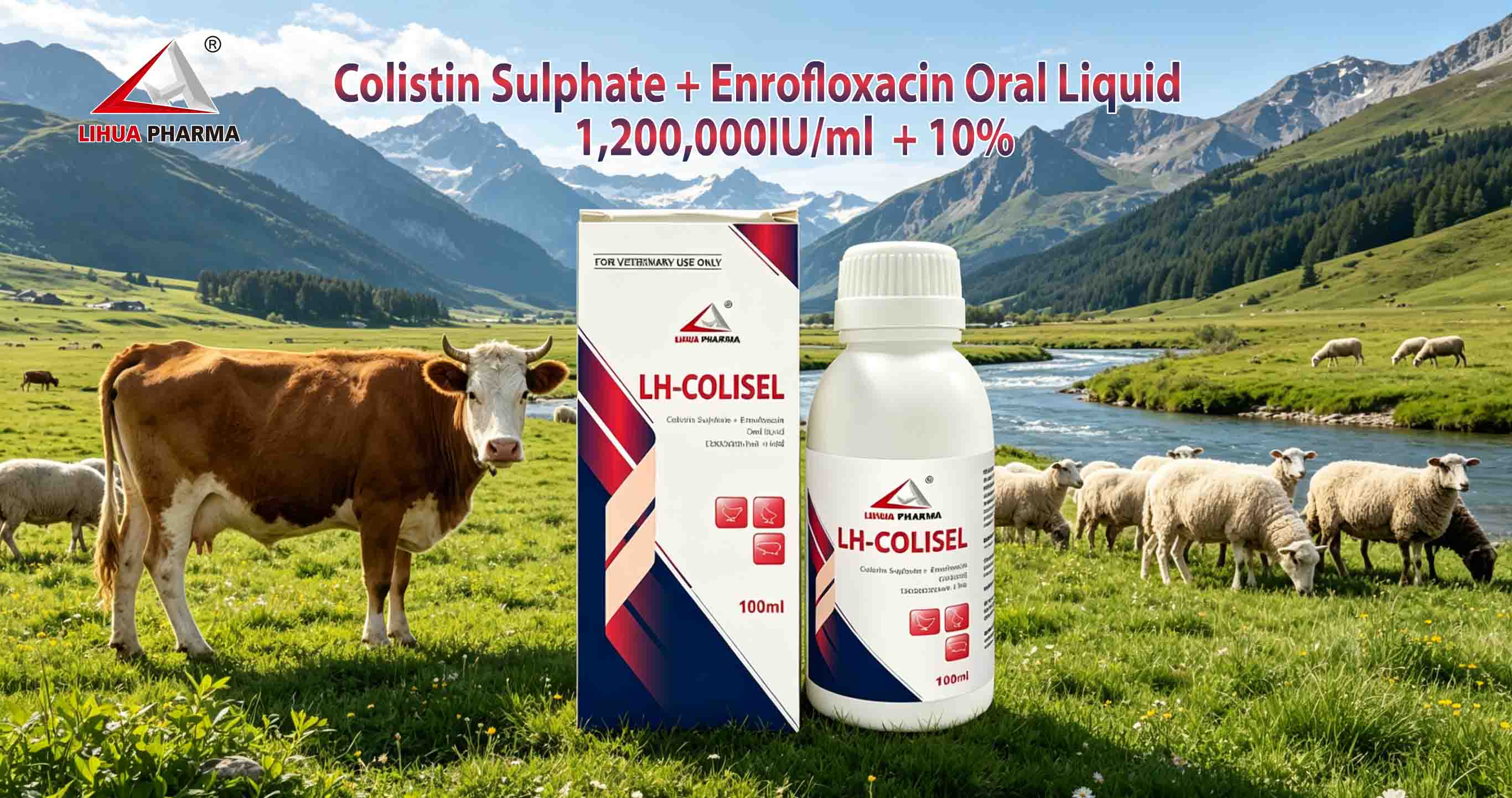 Colistin Sulphate 1,200,000IU/ml + Enrofloxacin 10% Oral Liquid