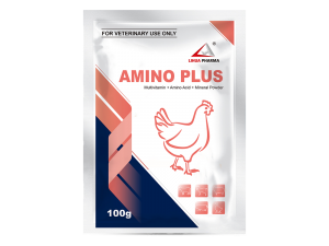 Multivitamin + Amino Acid + Mineral Powder