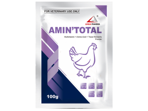 Multivitamin + Amino Acid + Trace Elements  Powder