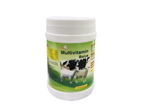 Multivitamin Bolus