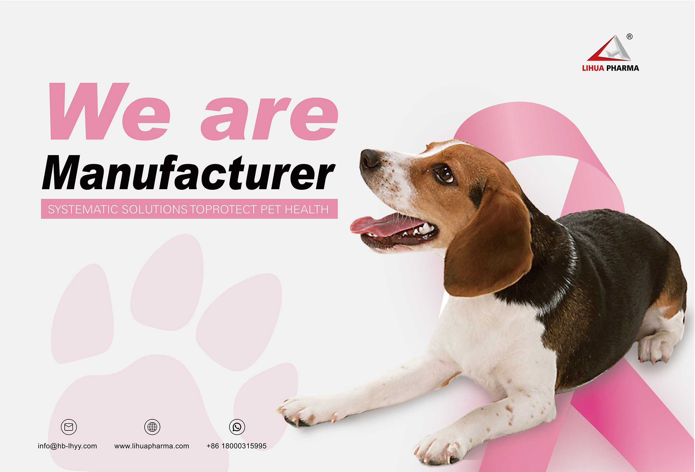 The Significance of Pet Medication for Pets