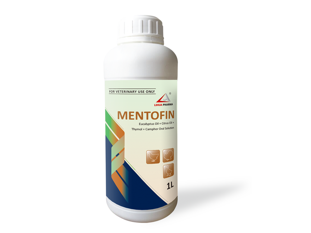 桉树油+柑橘油+百里香酚+樟脑口服液