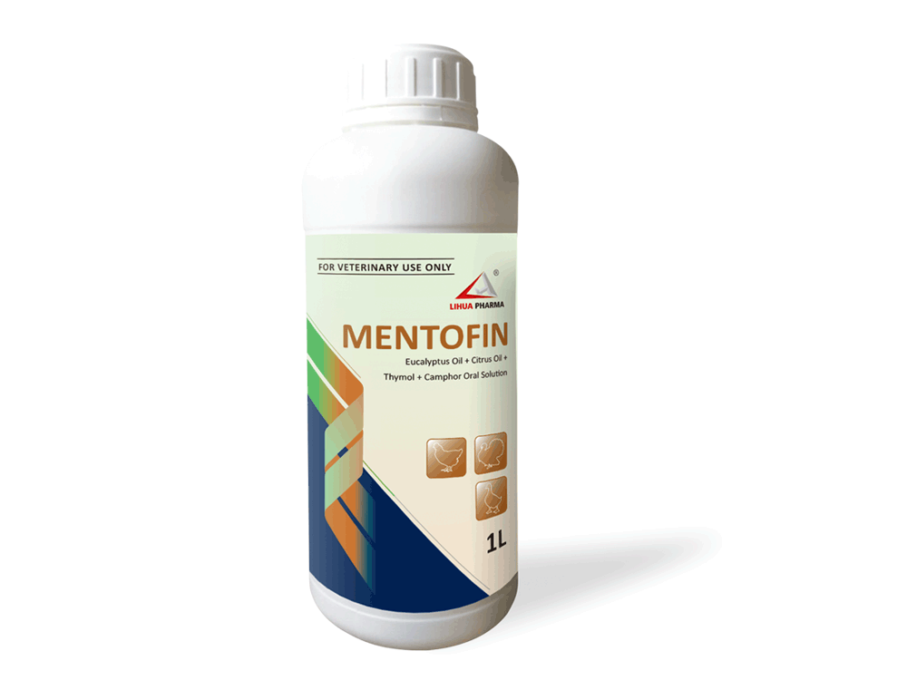 Eucalyptus Oil + Citrus Oil + Thymol + Camphor Oral Solution