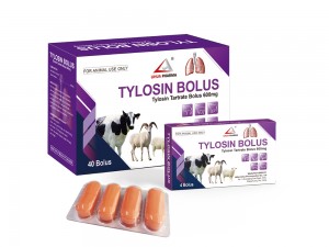 Tylosin Tartrate Bolus 600mg