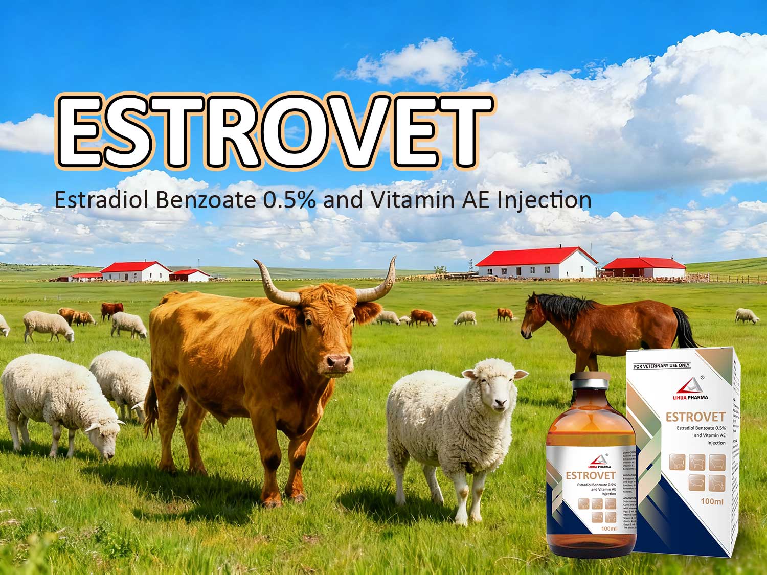Estradiol Benzoate 0.5% & Vitamin AE Injection: A Core Solution for Large-Scale Livestock Farming