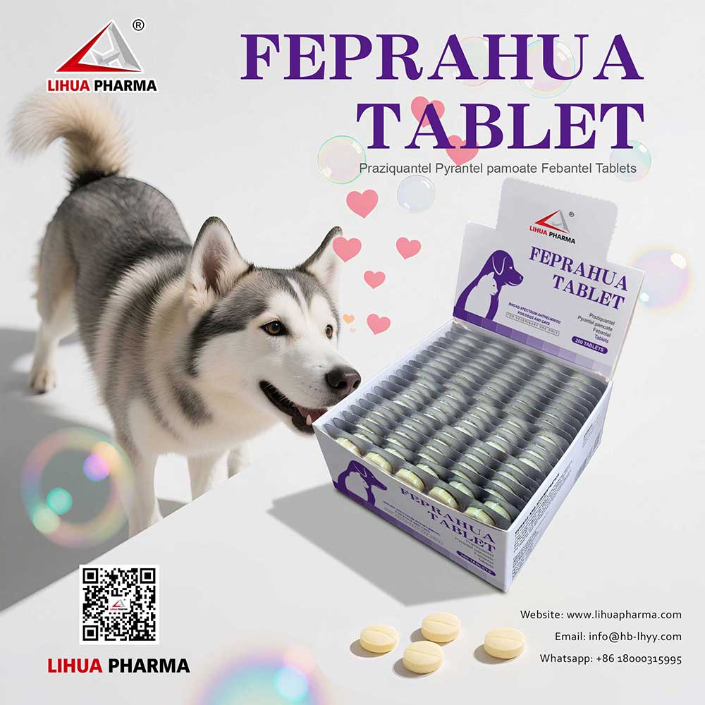 Febantel+Praziquantel+Pyrantel Pamoate Compound Tablets: A Concise Guide for Dog & Cat Parasite Control
